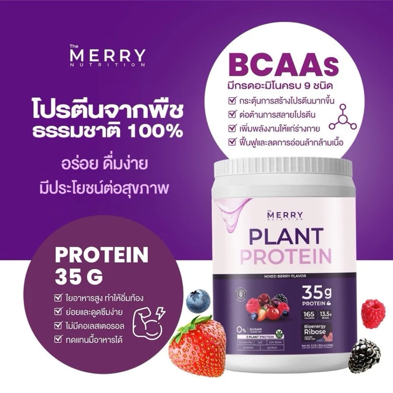 Merry Plant Protein รส Mixed Berry