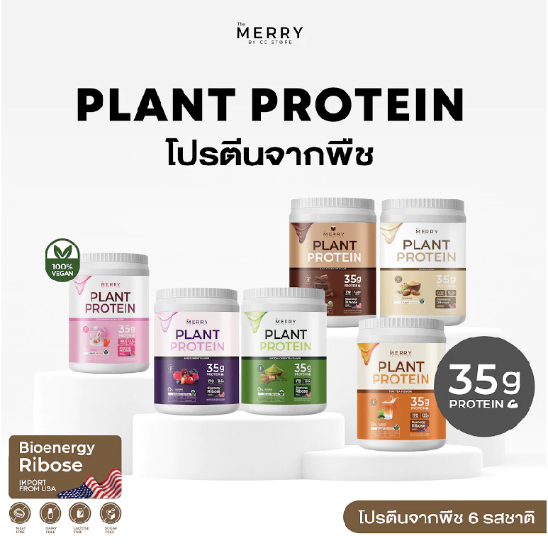 Merry Plant Protein โปรตีนพืช 6 รส