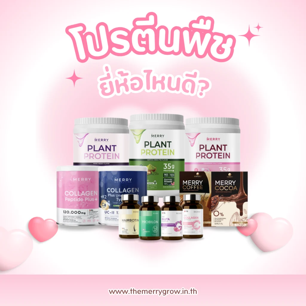 โปรตีนพืชยี่ห้อไหนดี? แนะนำ Merry Plant Protein โปรตีนพืช 5 ชนิด
